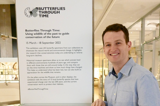 Matt Hayes, butterfly exhib, Museum of Zoology by Caroline Fitton